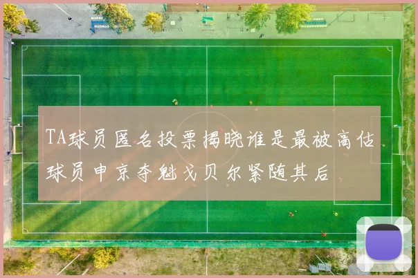 TA球员匿名投票揭晓谁是最被高估球员申京夺魁戈贝尔紧随其后
